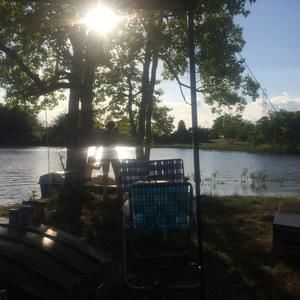 Meet your Posher, Sharon